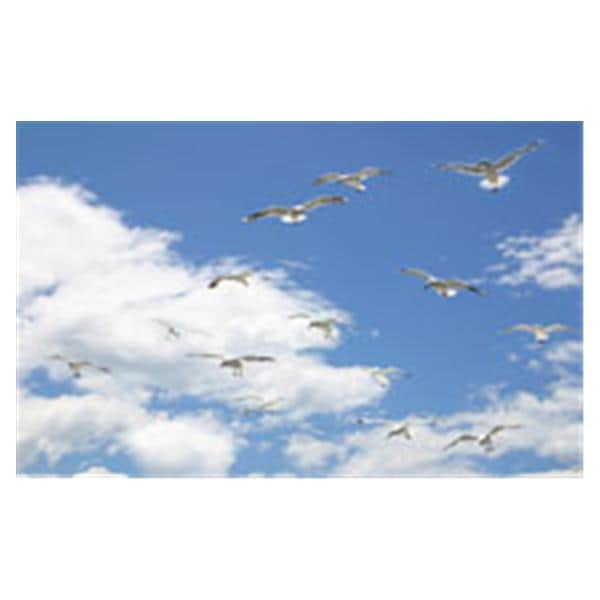 CeilingScenes Light Lens Seagull Sky 4-Tiles Square 24 in x 24 in Ea