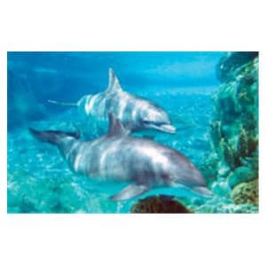 CeilingScenes Light Lens Dolphins 4-Tiles Square 24 in x 24 in Ea