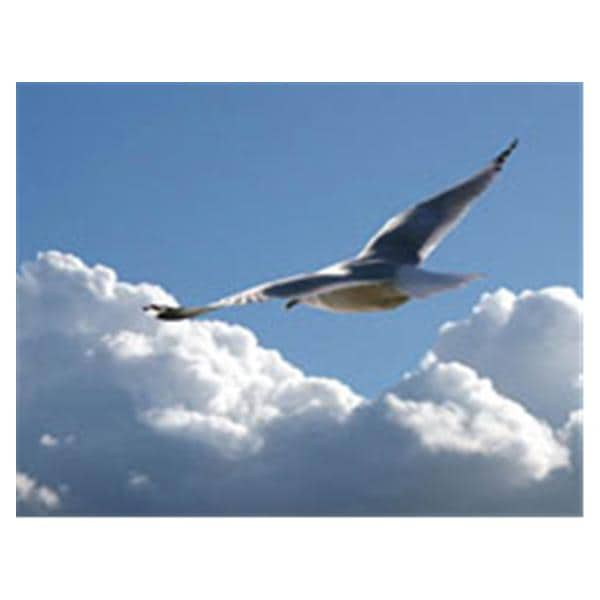 CeilingScenes Acoustic Tile Seagull Soaring 1-Tile Horizontal 24 in x 24 in Ea