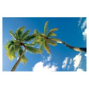 CeilingScenes Light Lens Palms Sky 2-Tiles Horizontal 48 in x 24 in Ea