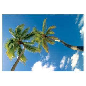 CeilingScenes Acoustic Tile Palms Sky 1-Tile Square 24 in x 24 in Ea