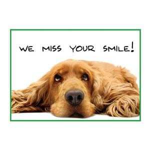 Imprinted Recall Cards Dog We Miss Smile 4 in x 6 in 250/Pk