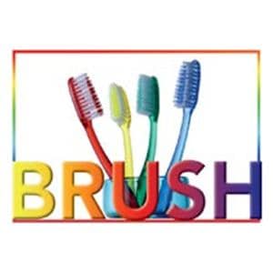 Imprinted Recall Cards Brush 4 Brushes 4 in x 6 in 250/Pk