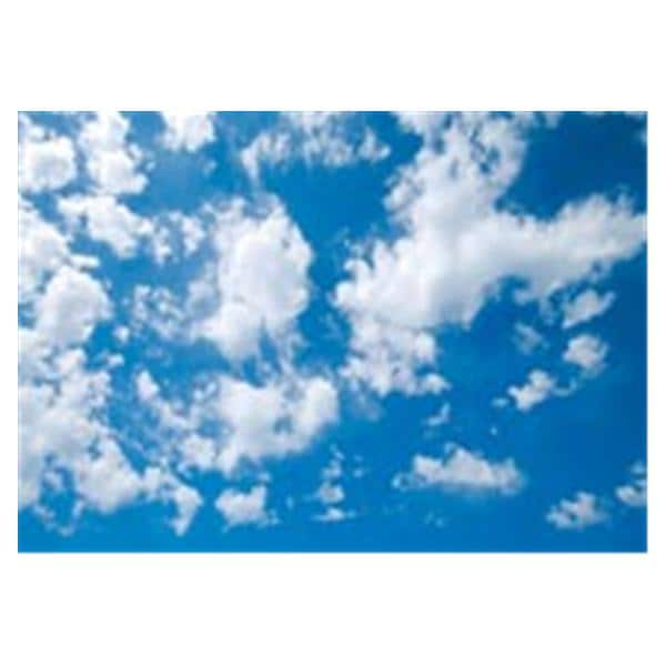 CeilingScenes Light Lens Cloud View 1-Tile Vertical 48 in x 24 in Ea