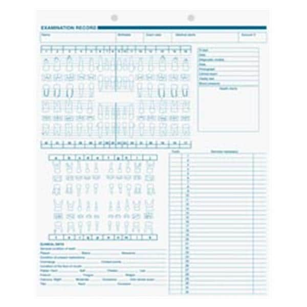 Exam Record Dental Forms With Anatomic & Periodontic Diagrams 250/Pk