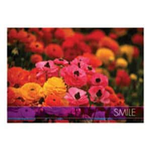 Imprinted Recall Cards Smile Poppy 4 in x 6 in 250/Pk