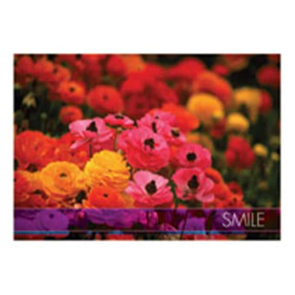 Imprinted Recall Cards Smile Poppy 4 in x 6 in 250/Pk