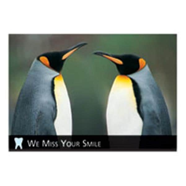 Imprinted Recall Cards Animal Penguin 4 in x 6 in 250/Pk