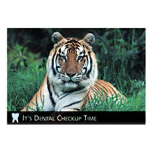 Imprinted Recall Cards Animal Tiger 4 in x 6 in 250/Pk