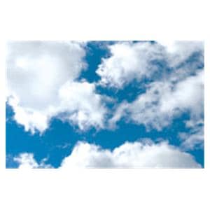 CeilingScenes Acoustic Tile Clouds 2-Tiles Vertical 24 in x 24 in Ea