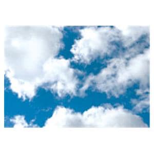 CeilingScenes Acoustic Tile Clouds 1-Tile Square 24 in x 24 in Ea