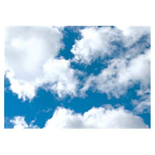 CeilingScenes Acoustic Tile Clouds 1-Tile Square 24 in x 24 in Ea