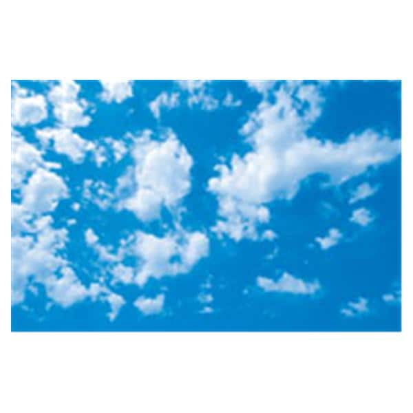 CeilingScenes Light Lens Scattered Clouds 2-Tiles Horizontal 48 in x 24 in Ea