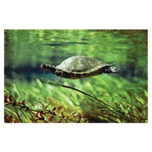 CeilingScenes Acoustic Tile Turtle 2-Tiles Vertical 24 in x 24 in Ea