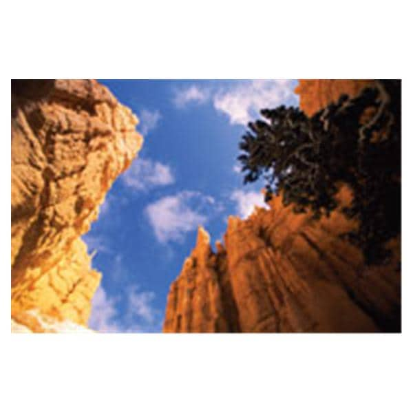 CeilingScenes Light Lens Stone Canyon 2-Tiles Horizontal 48 in x 24 in Ea