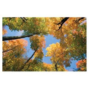 CeilingScenes Light Lens Maple Tree 2-Tiles Vertical 24 in x 24 in Ea