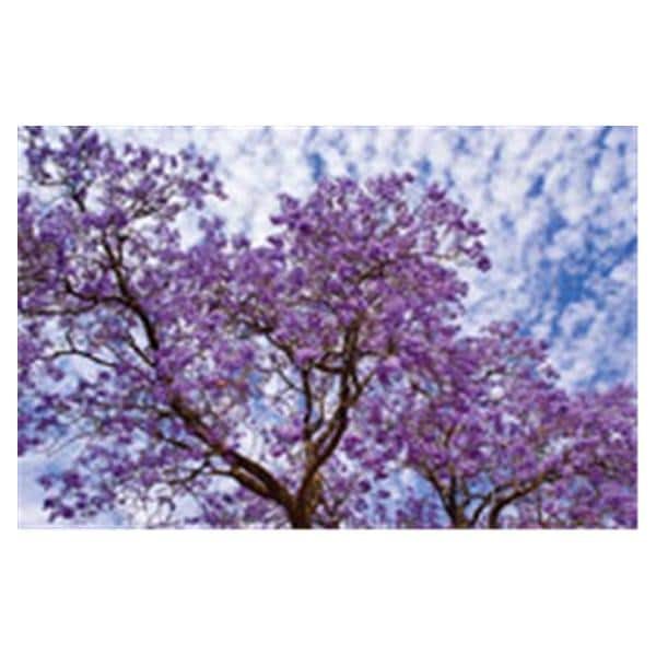 CeilingScenes Light Lens Jacaranda 2-Tiles Vertical 24 in x 24 in Ea