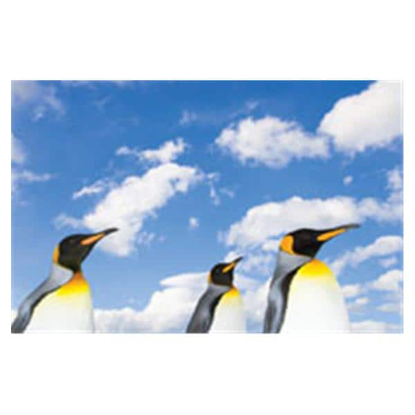 CeilingScenes Light Lens Penguin Sky 4-Tiles Square 24 in x 24 in Ea