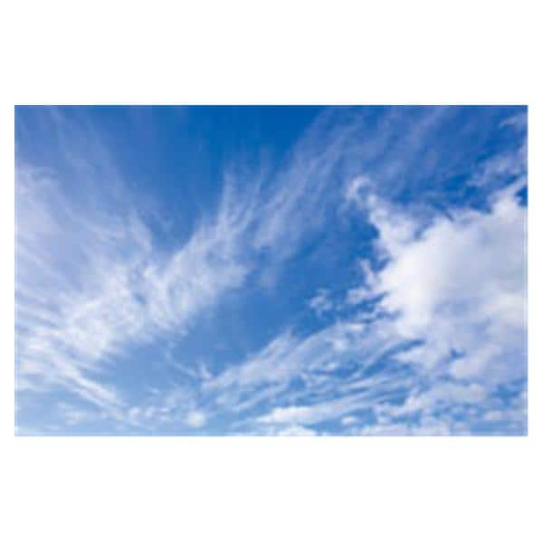 CeilingScenes Acoustic Tile Fall Clouds 4-Tiles Square 24 in x 24 in Ea