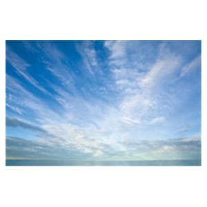 CeilingScenes Light Lens Cumulus Clouds 2-Tiles Vertical 24 in x 48 in Ea