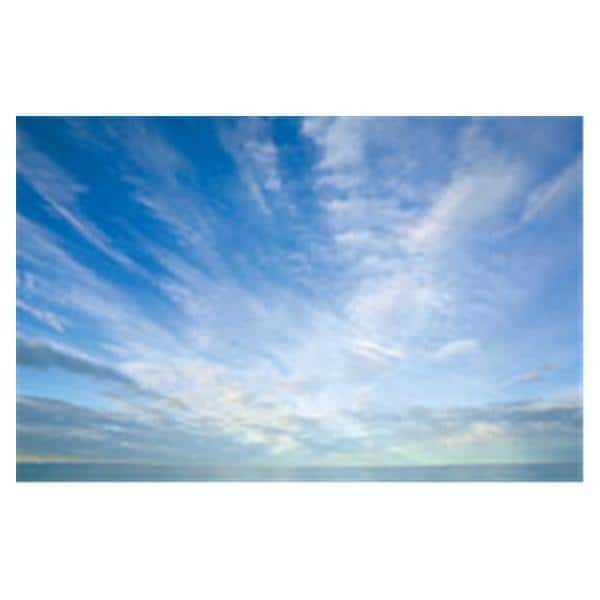 CeilingScenes Light Lens Cumulus Clouds 2-Tiles Vertical 24 in x 48 in Ea