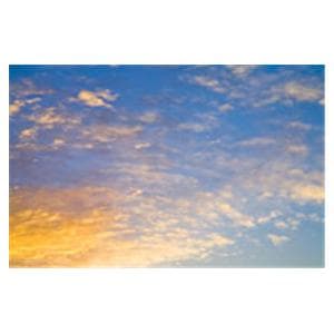 CeilingScenes Light Lens Rising Sun 2-Tiles Vertical 24 in x 48 in Ea