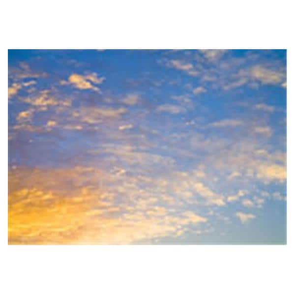 CeilingScenes Acoustic Tile Rising Sun 1-Tile Square 24 in x 24 in Ea