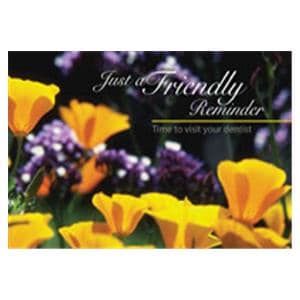 Imprinted Recall Cards 4 in x 6 in 250/Pk