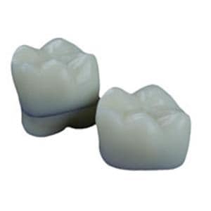 Patient Education Model PFM / Ceramic Crown 2.25 in x 2 in x 2 in Ea