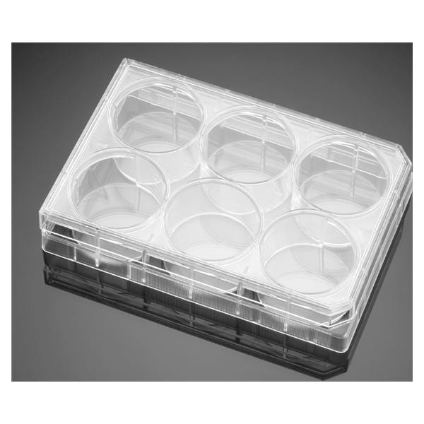 Falcon Cell Culture Plate Polystyrene 15.5mL 6 Well Flat Bottom 9.6cm 50/Ca