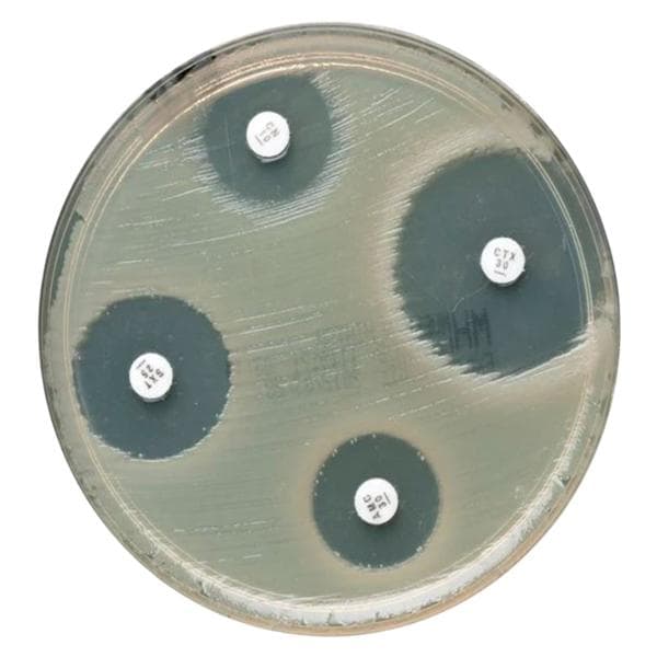 Oxoid Ciprofloxacine Susceptibility Disk 5/Pk