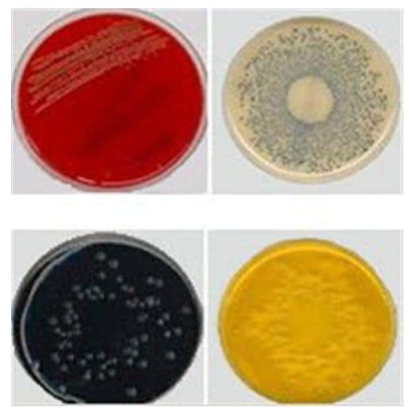 MH Agar Culture 10/Pk