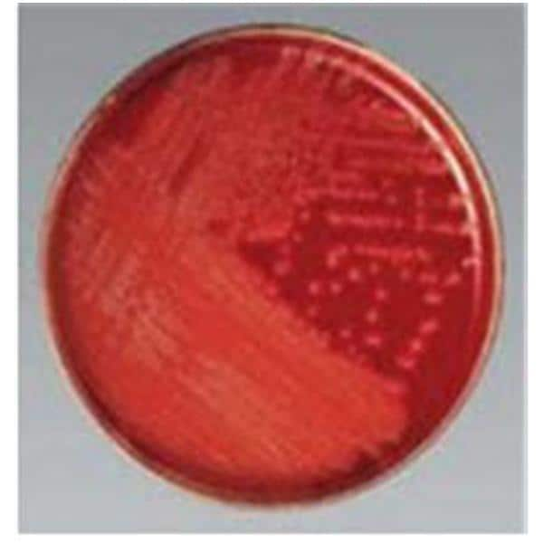 Culture Strep A Isolation Agar 100/Pk