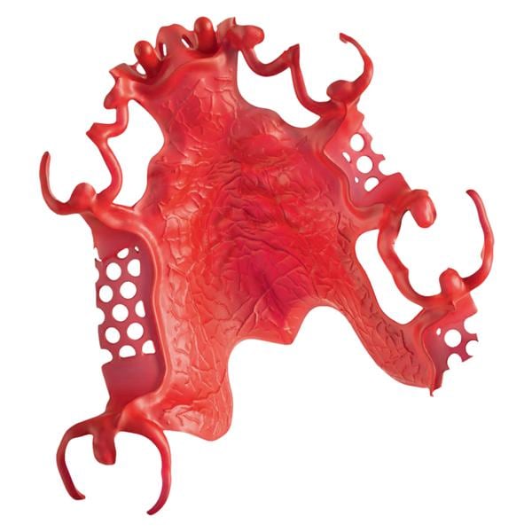 dima Print Cast 3D Resin Ruby Ea