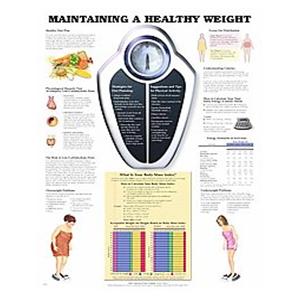 Maintaining a Healthy Weight 20x26" Educational Chart EA