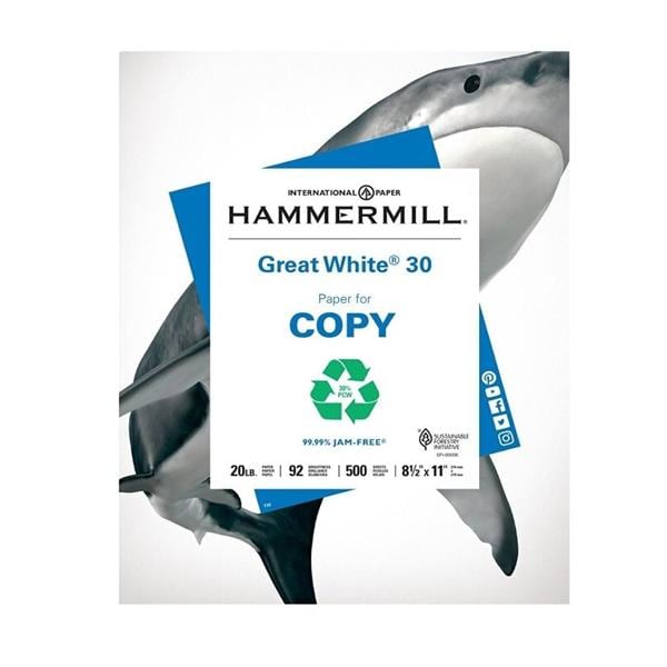 Great White Copy Paper 8.5 in x 11 in 20 Lb 500 Sheets/Ream 500/Pk