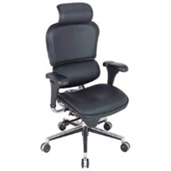 Ergohuman High-Back Leather Chair Chrome Frame Black Leather 46x26x27.5 Ea