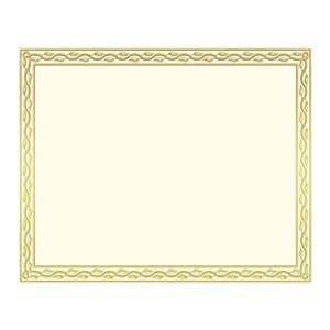 Blank Certificates 8.5 in x 11 in Serpentine Gold Foil 12/Pack 12/Pk