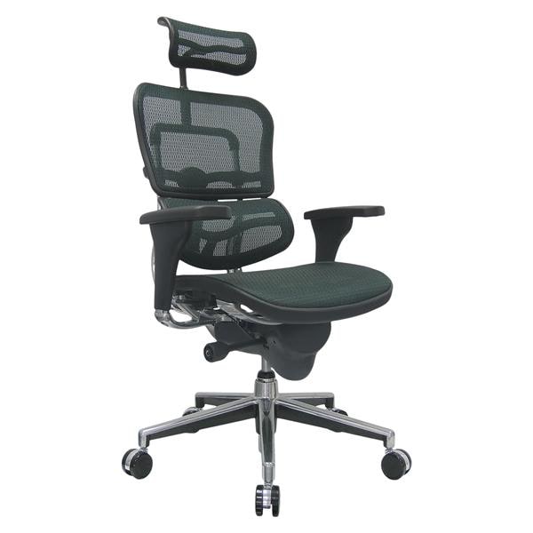 Ergohuman Mesh Executive Chair High-Back Gray/Chrome 27.5x26x46" Ea