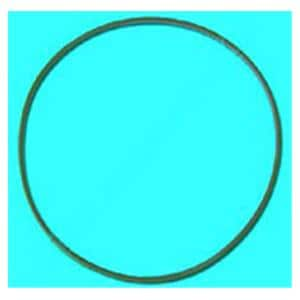 Door Gasket For Chemiclave 5000 5000 Ea