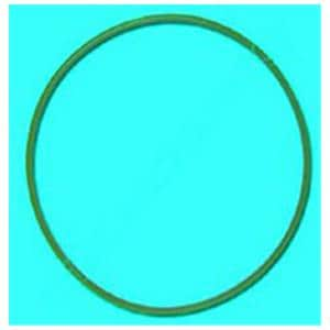 Door Gasket For Chemiclave 6000 6000 Ea