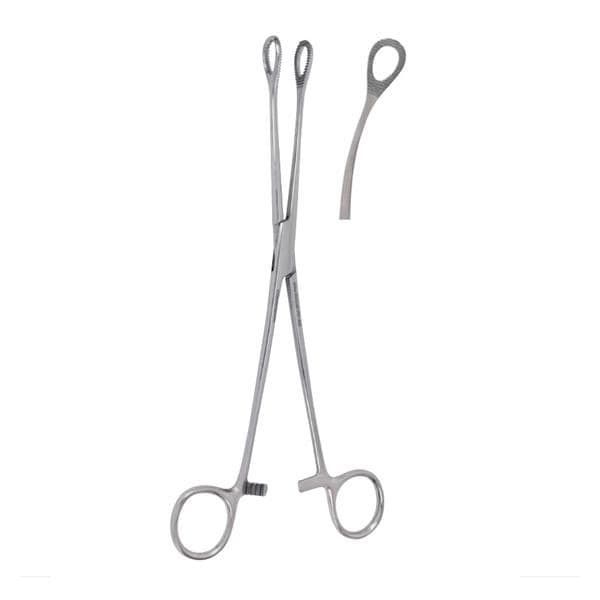 Vantage Foerster Sponge Forcep 9-1/2" EA