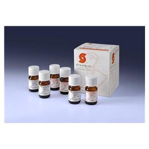 B-Hydroxybutyrate/ TDM Bi-Level Control 6x5mL 6/Bt