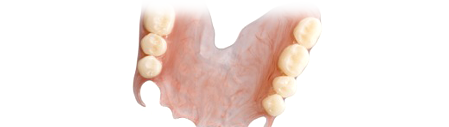 Denture Accessories