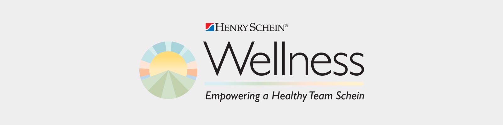 Team Schein Wellness Program